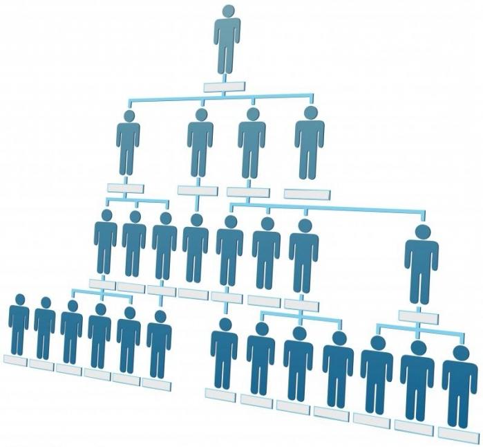 organizational structure of the hotel