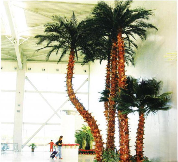 Artificial Palm Tree 