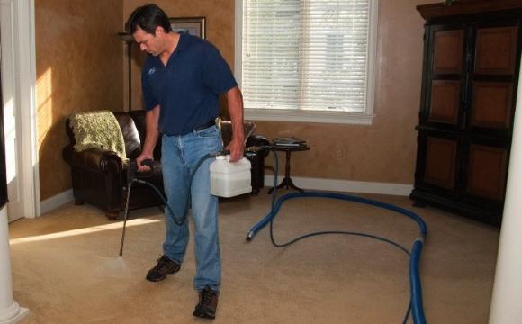 How to clean the carpet in your own home?