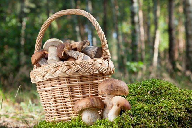 Wicker basket for mushrooms