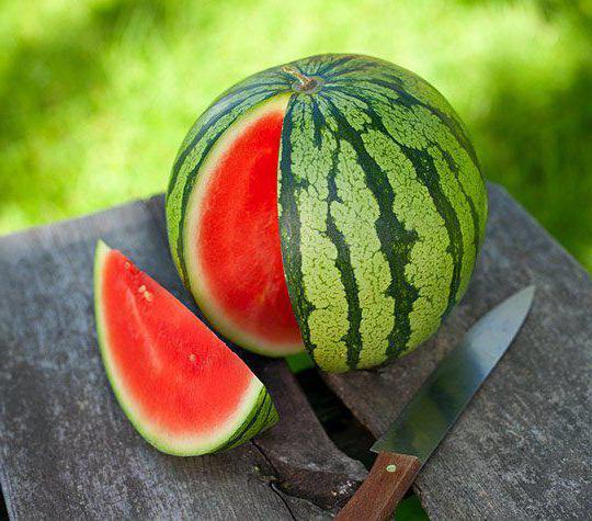 What is useful watermelon during pregnancy 