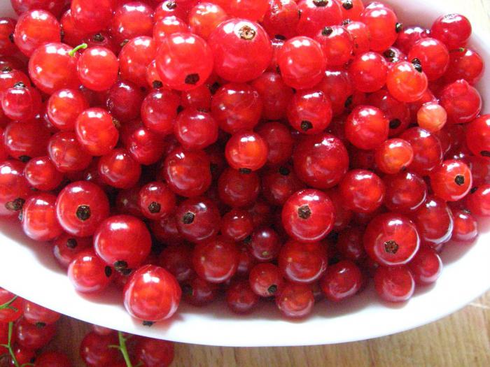 Is currant useful in pregnancy?