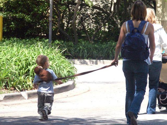 Leash for children: safety device or stopper