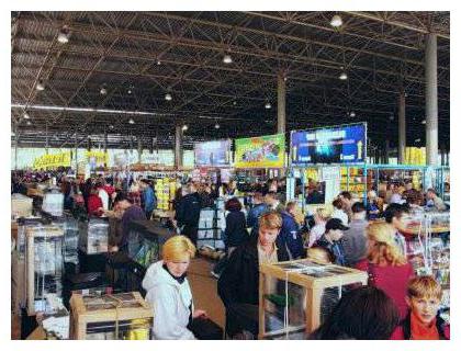 The bird market of Samara is famous for its animals