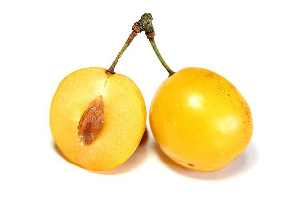 plum honey white description of grade