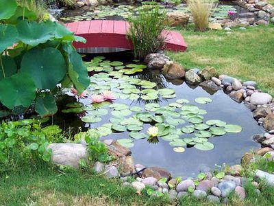 decorative pond