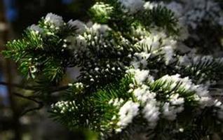 Artificial snow with own hands