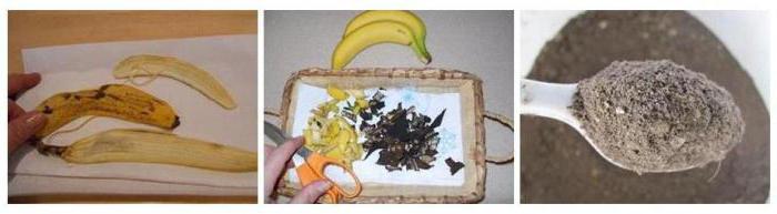 fertilizer from banana peel for indoor plants reviews