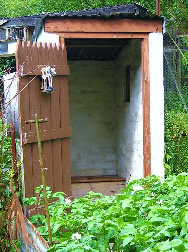 How to build a street toilet with your own hands