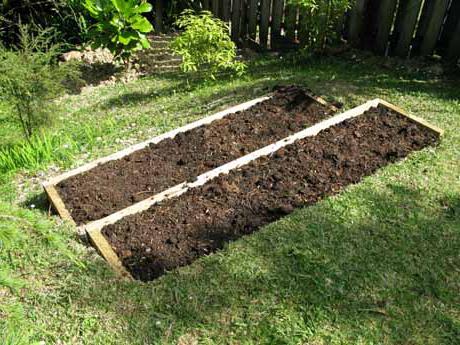 How to properly make beds in the garden. How to make beds in the garden