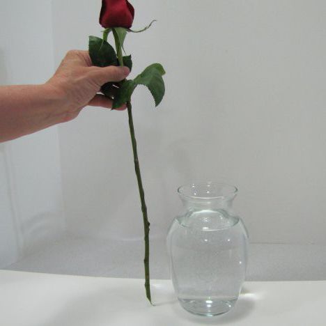 Как дольше сохранить срезанные розы в вазе