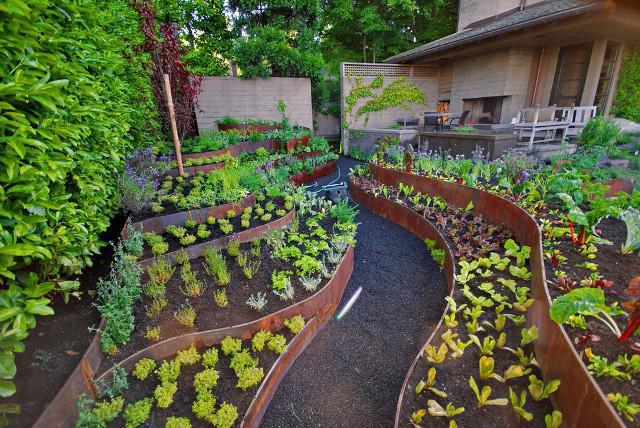 how to plan a garden