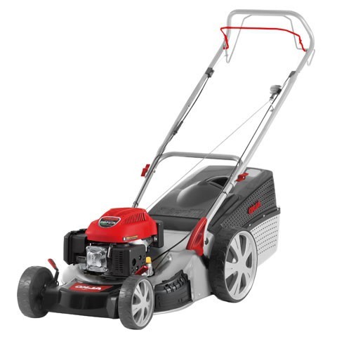 How to choose a gasoline lawn mower: tips