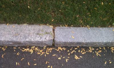 Curbstone 10020 8