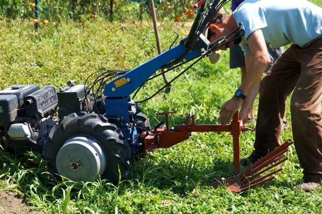 digging potato for a motorized block conveyor