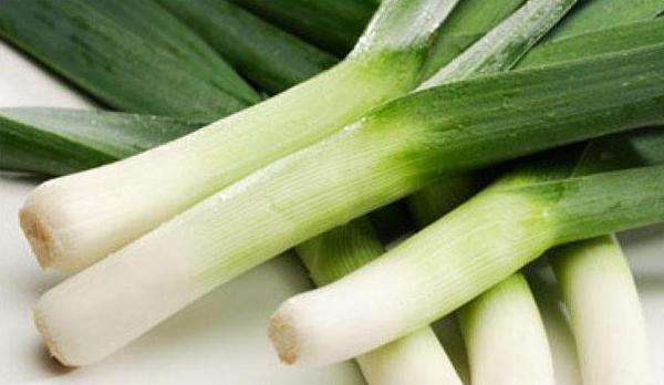 Leeks: planting, care and reproduction. Learn how to grow "green health" on your site!