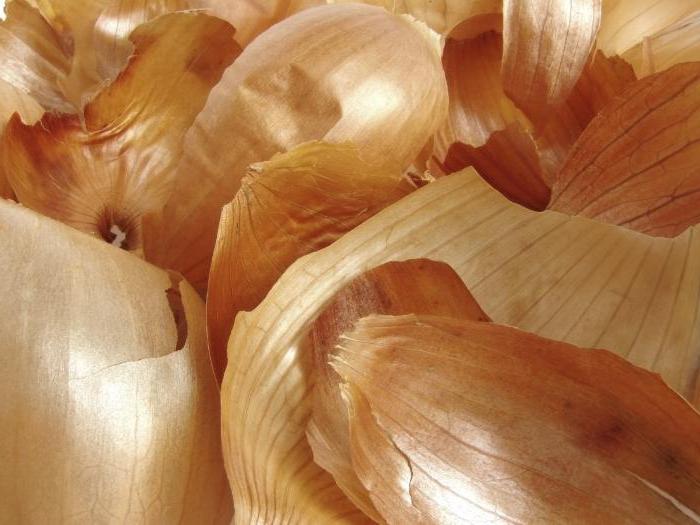 Onion husk for garden or garden: application as fertilizer and pest control