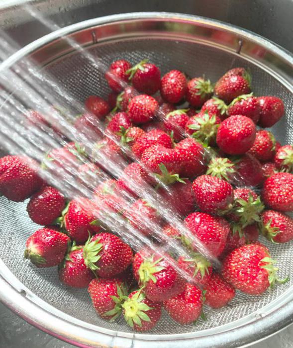 Ammonia alcohol for strawberries: application features, testimonials. Ammonia alcohol for garden and orchard