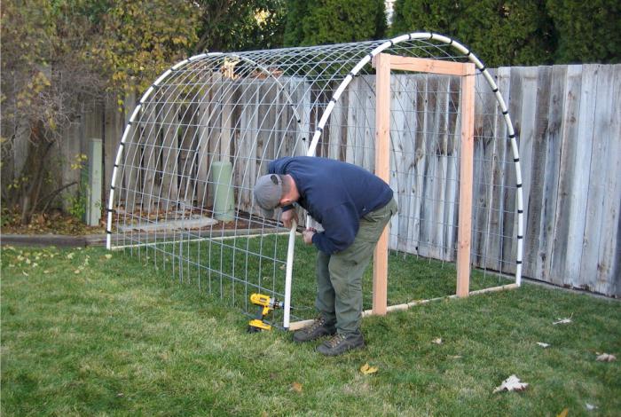 greenhouse breadbasket with my own hands photo