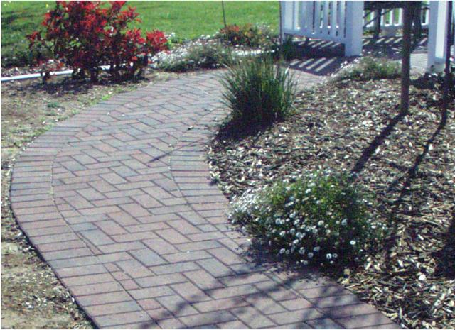 Tile for garden paths: how to lay it correctly