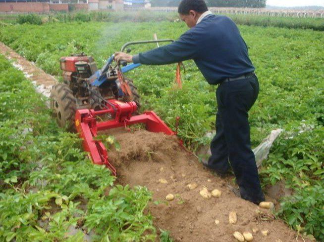 Homemade potato planter for the motoblock. Motorized self-propelled machines