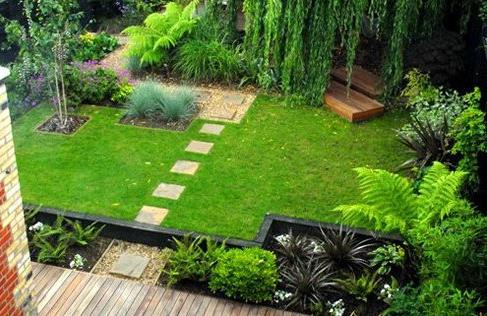 Make the garden beautiful. Lawn grass: planting and care