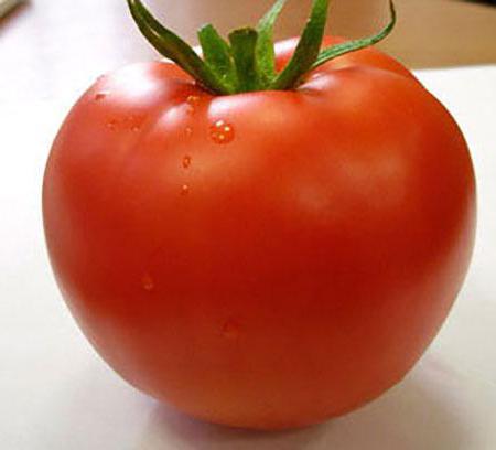 tomato linda characterization and description of the variety