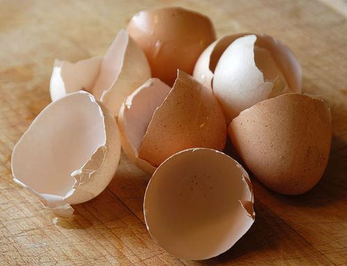 eggshell - everything for the garden and the garden