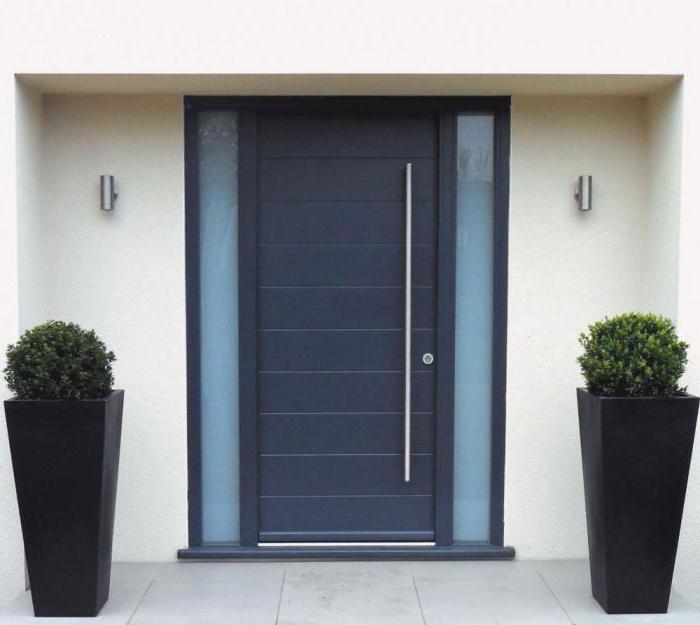 Entrance metal doors