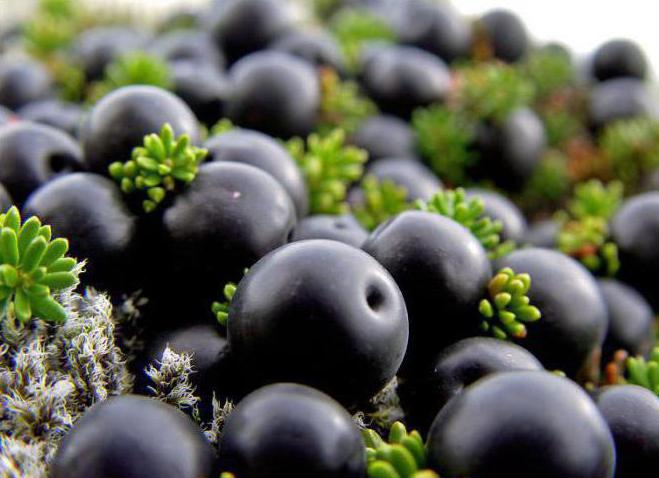 crawberry black or crowberry or siksa