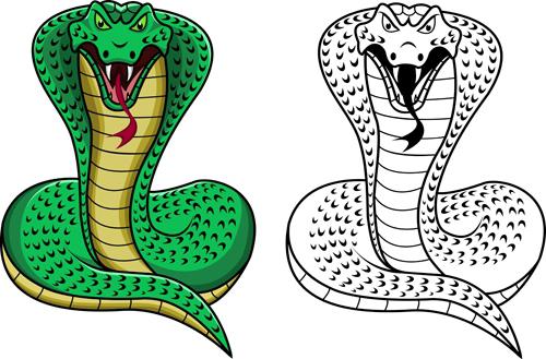 Year Snake: characteristics, features