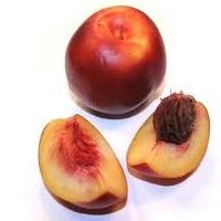 What is useful for nectarines and what are its characteristics?