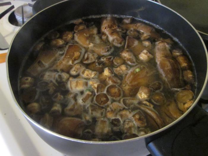 mushroom broth