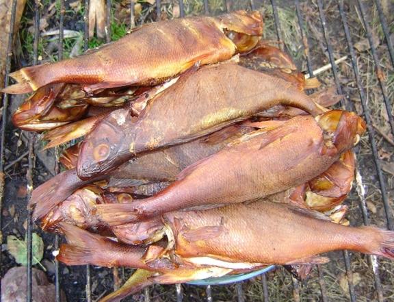 how to smoke fish in a smokehouse in the country