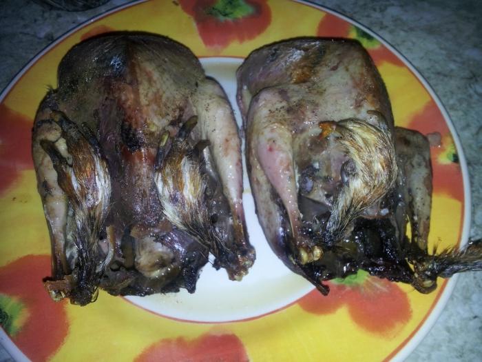 How to prepare a delicious dish from a capercaillie