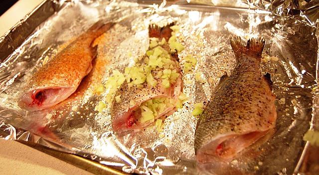 pike-perch baked in the oven photo