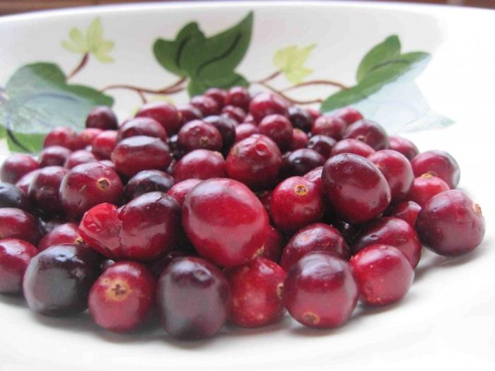 Kissel from cranberry recipe