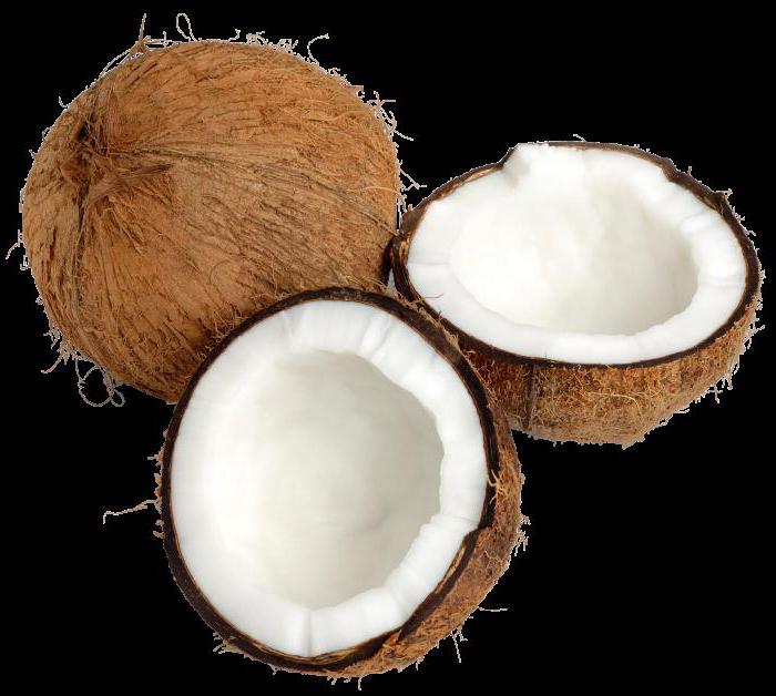 Coconut: benefit and harm