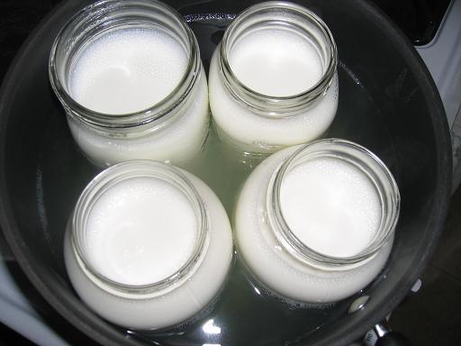 how to make kefir at home