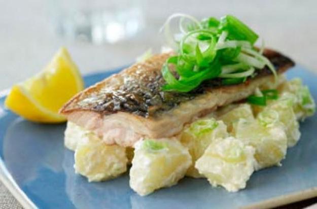 mackerel boiled caloric content 