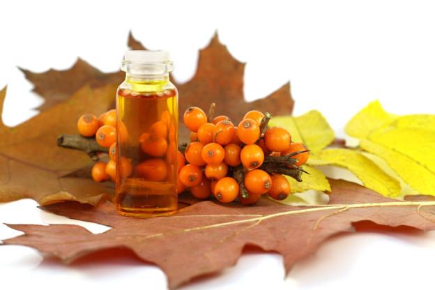 Useful tips: how to cook sea buckthorn oil at home