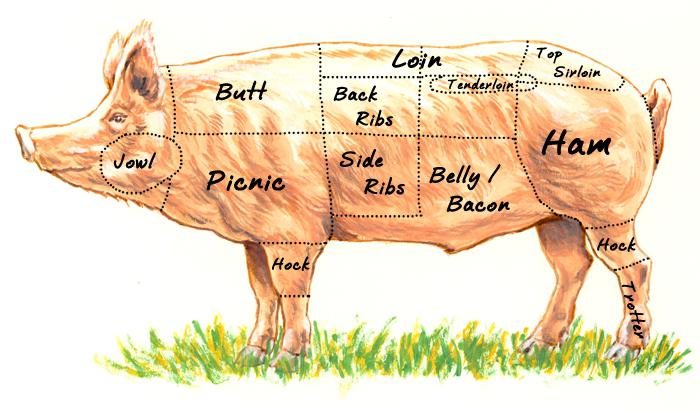 Cutting pork carcass and nuances of meat selection