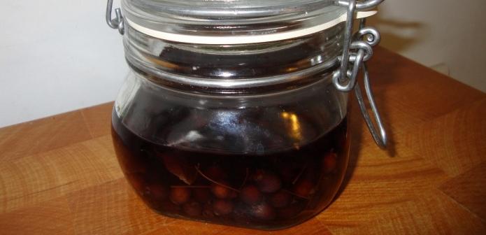  recipe for cranberry tincture on alcohol