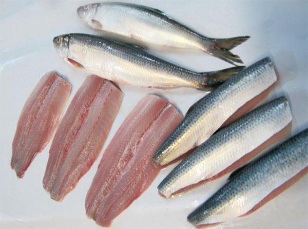 herring fried cooking recipes