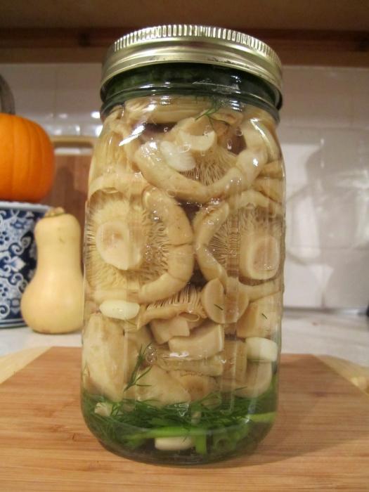 Raw meat: cooking this delicious mushroom. Pickling and quenching