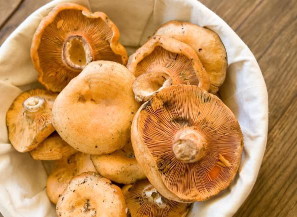 how to soak mushrooms