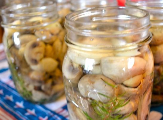 Pickling of mushrooms in jars