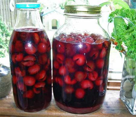 Learning to preserve tasty vitamin compotes for the winter without sterilization