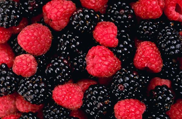 Learning to eat competently: fruits and berries, caloric content and nutritional value