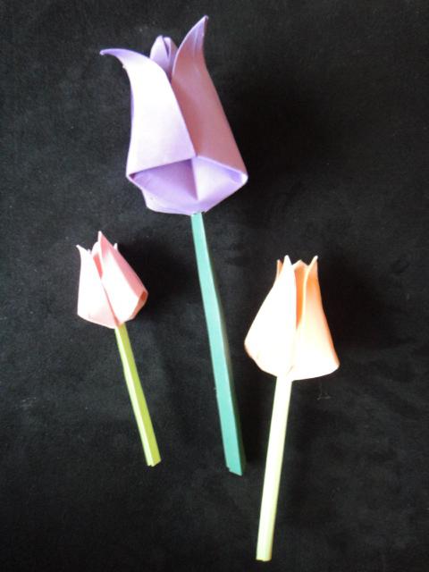 How to make a tulip of paper: our master class will tell us